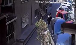 Park Halindeki Araca Saldırdı, Hiçbir Şey Olmamış Gibi Uzaklaştı