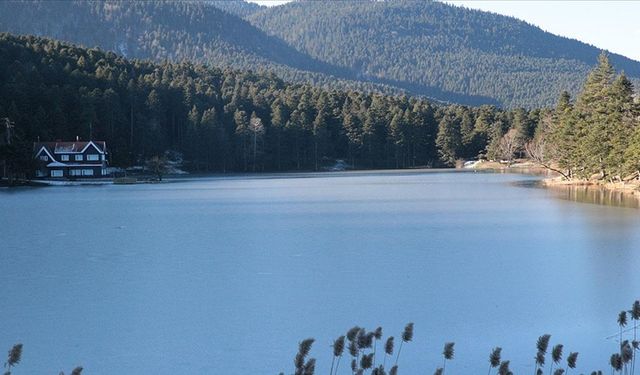 Gölcük Tabiat Parkı'ndaki gölün yüzeyi buz tuttu